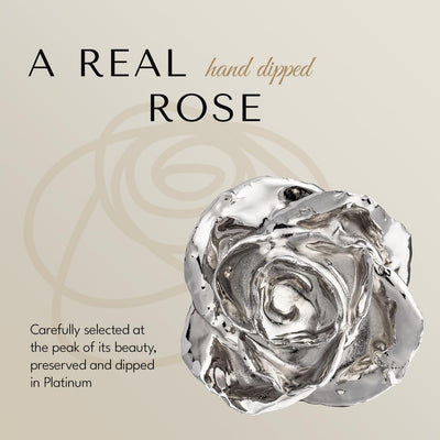 Eternal Platinum Rose - A Unique Hand-Dipped Masterpiece to Cherish Forever