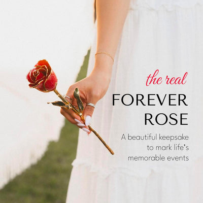 Eternal Platinum Rose - A Unique Hand-Dipped Masterpiece to Cherish Forever